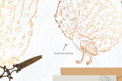 Fancy Peacock Collection Product Image 2