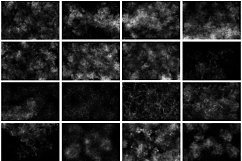 50 Dust Overlays Product Image 2