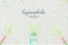 Hand painted watercolor clipart white baby&#039;s breath, gypsophila Product Image 3