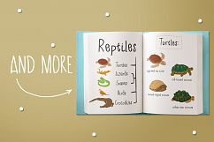 Reptiles Product Image 5