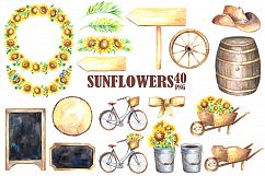 Sunflowers watercolor clipart Product Image 2