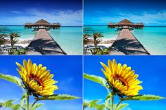 Summer Lr Presets Product Image 2