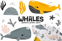 Whales - Cute Characters Product Image 1
