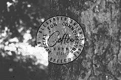100 VINTAGE LOGO TEMPLATES Product Image 9