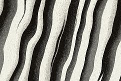Animal fur textures Product Image 11