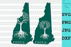 State Roots-All 50 States Product Image 9