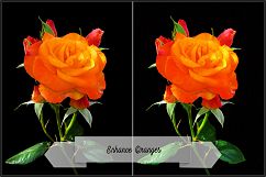 Incredible Flowers Profiles LR7.3 ACR10.3 Product Image 25