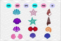 Seashells Svg, Seashell Svg,Cut Vector File Cricut Decal Product Image 1