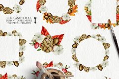 Autumn harvest Product Image 5