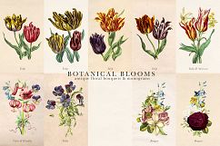 Botanical Blooms and Monograms Product Image 9