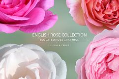 Isolated Rose Bundle  Product Image 6