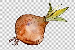 Onion vegetables PNG watercolor set Product Image 2