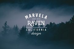 Vintage Badges and Logos Bundle V02 Product Image 11