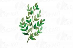 Wild leaves and flowers watercolor clip art pack Product Image 15