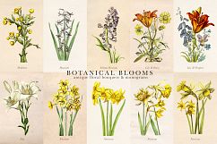 Botanical Blooms and Monograms Product Image 7