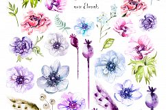 Hand Drawn Watercolor BUNDLE 4 Product Image 7