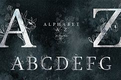 Collection Night Product Image 3