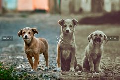 Pet Photoshop Actions Collection Product Image 7