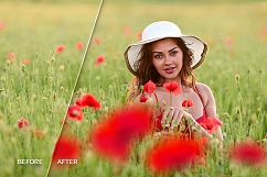 17 Poppie Flowers Photo Overlays Product Image 4