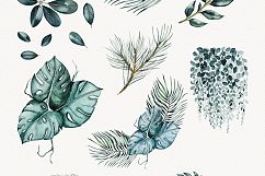 Watercolor Plants Product Image 2