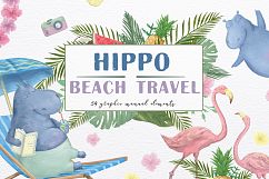 Hippo Beach Travel. Summer Set Product Image 1