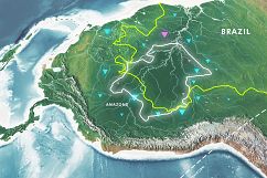 Illustrations of the World with Infographics Product Image 26