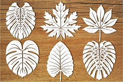 Tropical Leaves (set1) SVG files for Silhouette Cameo and Cricut. Tropical Leaves (set1) clipart PNG transparent included. Product Image 1