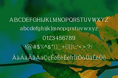Foglia Product Image 5