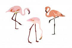 Pink Flamingo - seamless patterns Product Image 3