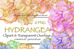 Gold Embellished Hydrangeas Product Image 1
