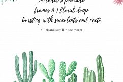 Watercolor Cactus and Succulents Collection Product Image 6