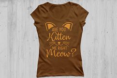 Are you kitten me right meow? SVG, cat svg, kitten svg, Are you kitten me svg, silhouette files, cricut cut files, svg, dxf, eps, png. Product Image 2