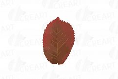 Autumn leafs watercolor clip art pack, watercolor fall frame Product Image 17