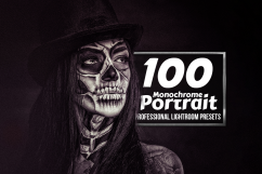 Monochrome Portrait - 100 Lightroom Presets Product Image 1