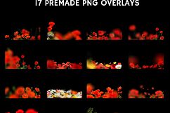 17 Poppie Flowers Photo Overlays Product Image 3