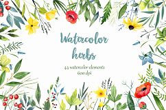 WATERCOLOR herbs, leaves, poppy, wild flowers Product Image 1