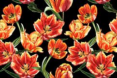 Tulip PNG watercolor flower set Product Image 6
