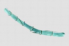 Exotic bamboo PNG watercolor set Product Image 6