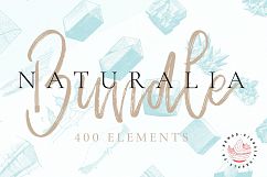 Naturalia Bundle - 400 Elements Product Image 1