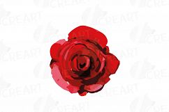 Watercolor Red and Burgundy Roses and leafs clip art pack Product Image 11