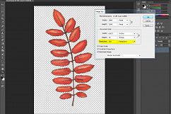 Fall leave Autumn clipart,watercolor fall clipart Product Image 4