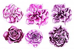 Hand Drawn Watercolor BUNDLE 5 Product Image 14