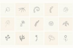 165 Hand Drawn Floral Elements, Frames. Product Image 11