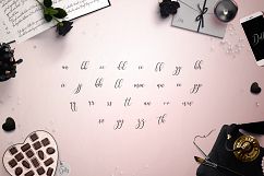 Dolly Script Product Image 8