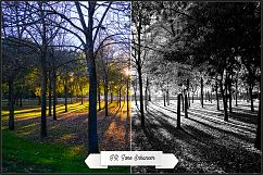 Infrared Monochrome Master Profiles LR7.3 ACR10.3 Product Image 12