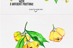 watercolor fruits vol. 6 Product Image 7