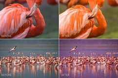 Africa Lr Presets Product Image 7