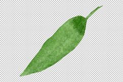 Pink brugmansia PNG watercolor set Product Image 4