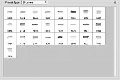 Photoshop Watercolor brushes brush strokes with bonus PNG Product Image 3