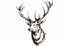 ELK head | hand drawn | vector Product Image 2